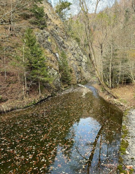 asian influencer onlyfans best pic