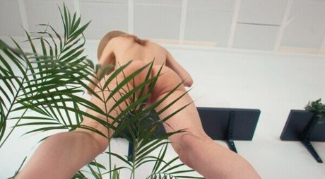 Anastasia Trepleff art star gallery