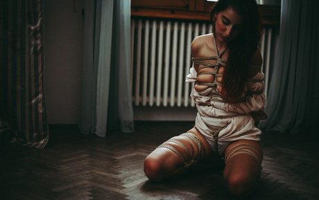 Auromineo star top pictures