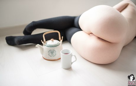 Ariana Steigleder star top gallery