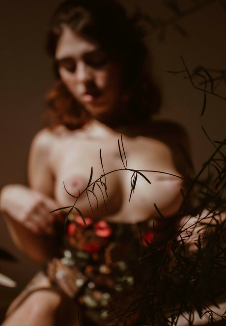 Aliesealieseoff pornstar naked galleries