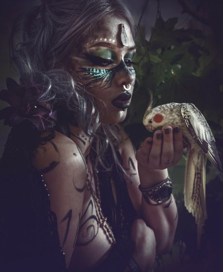 blackthornwitch perfect star picture