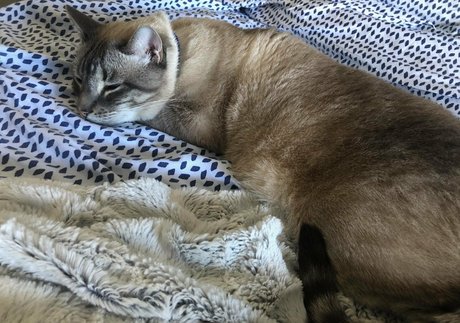 natural ass onlyfans exclusive photos