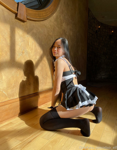 elixir elf high quality model img