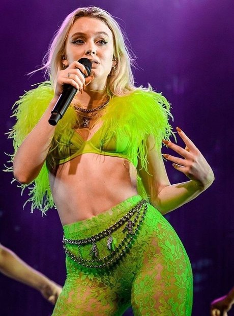 Zara Larsson star perfect image