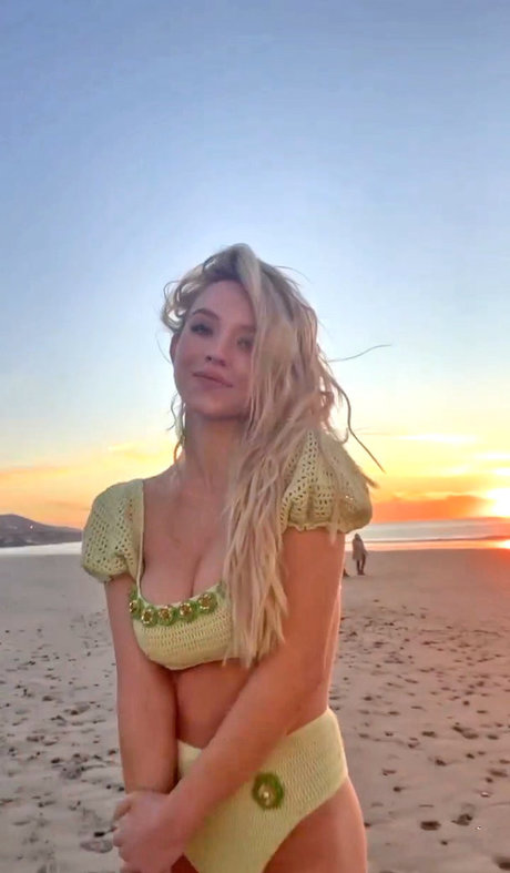 south onlyfans top img