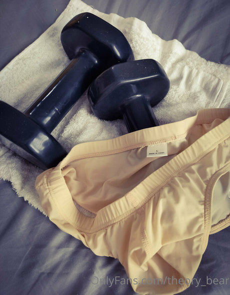 theory bear model nice picture