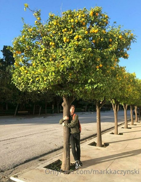 markkaczynski star pretty pics