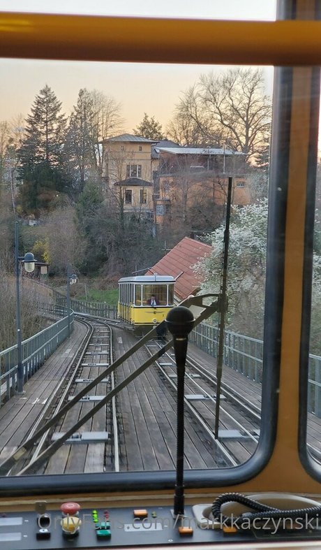 markkaczynski nice actress image