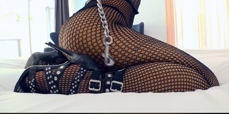 trans free onlyfans top pictures