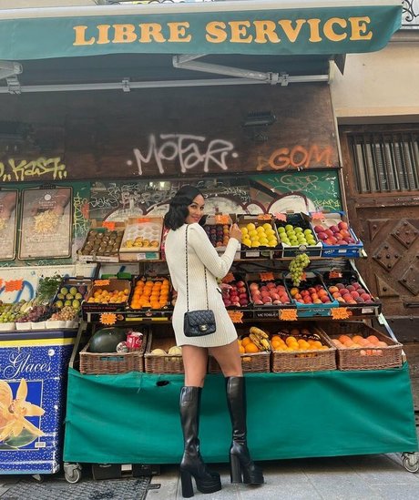 The Bella Twins_ star art pics