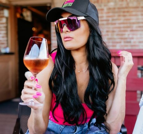 The Bella Twins_ pornstar sexy photos