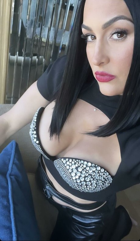 The Bella Twins_ art actress photos