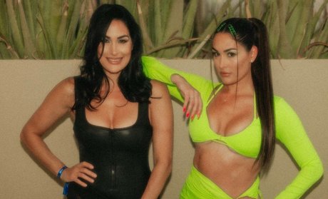 The Bella Twins_ star beautiful pictures