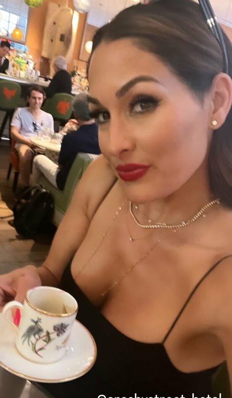 The Bella Twins_ Profile Pic