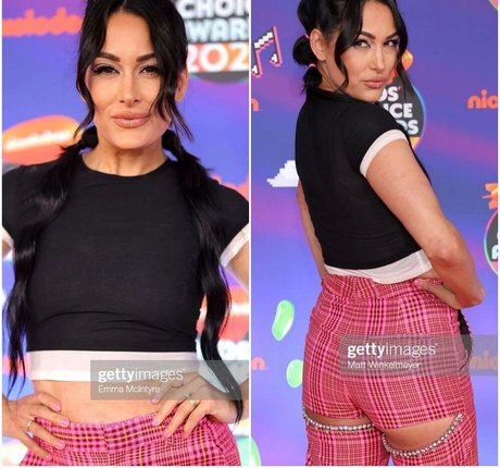 The Bella Twins_ star porn image