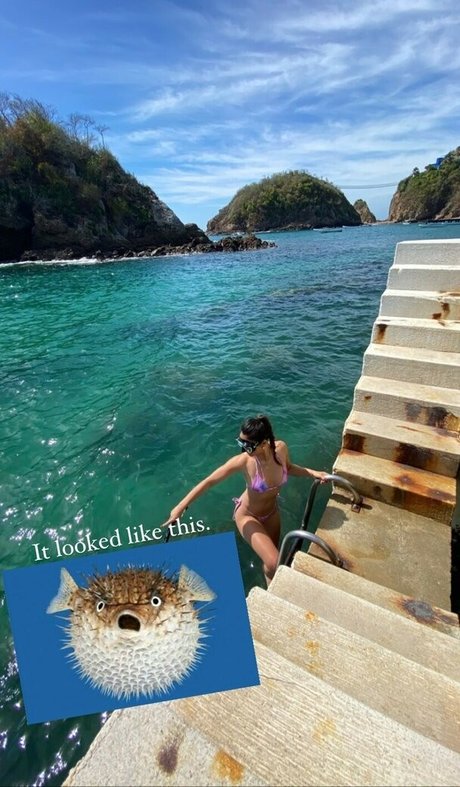 creampie asian onlyfans erotic image