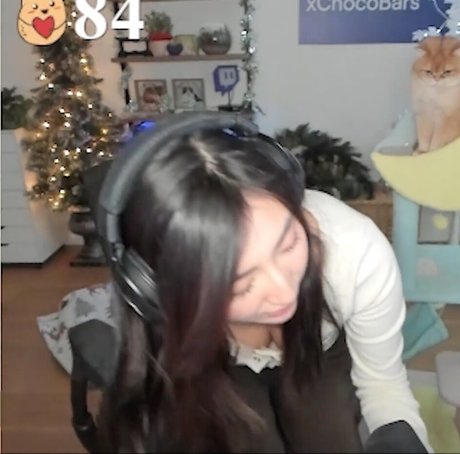 xChocobars star nice gallery