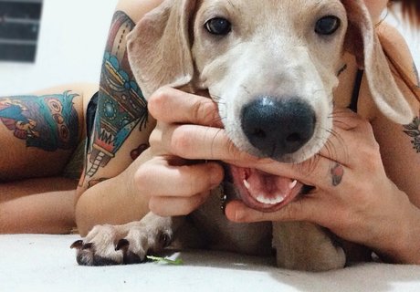 camilaferreirai star exclusive archive