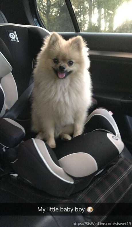 real teacher onlyfans nude picture