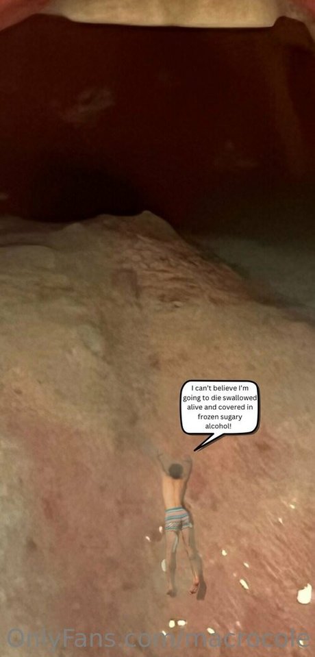 macrocole nice model gallery