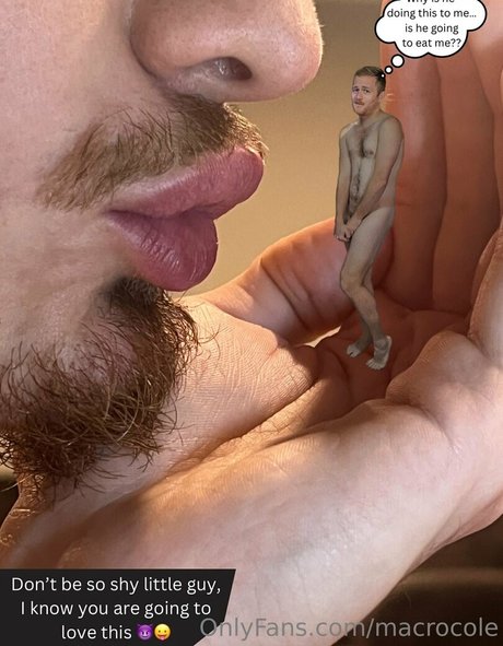 macrocole hot star pics