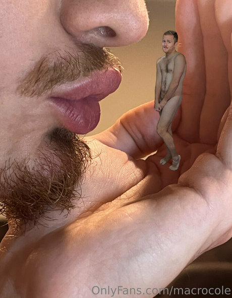 macrocole high quality star archive