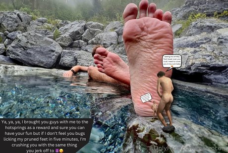 macrocole star perfect image