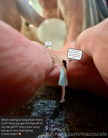 macrocole model nice picture