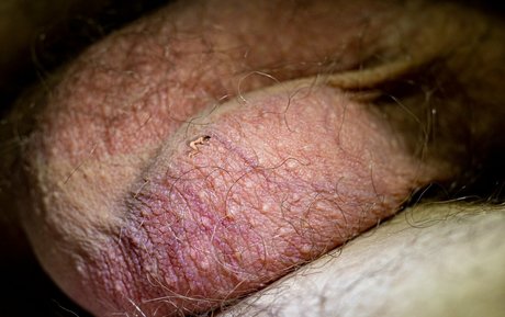 asian blowjob onlyfans hot nude img