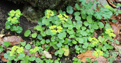 hard nipples onlyfans nude pictures