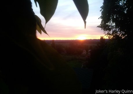 disabled onlyfans sexy nude image