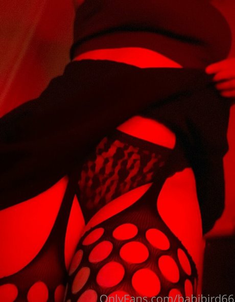 Babibird66 star porn galleries