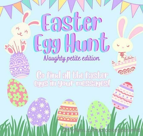 brookegoeswild nice star galleries