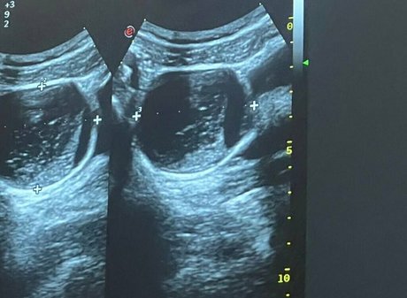 sloppy blowjob onlyfans pornos photo