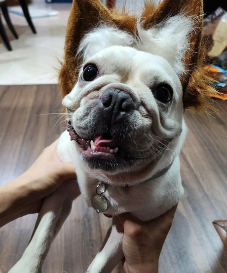 tattooed onlyfans hot nude photos