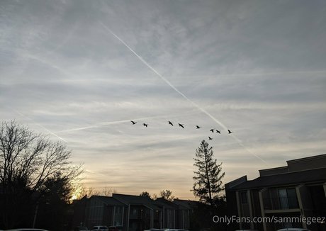 dream candy model free images