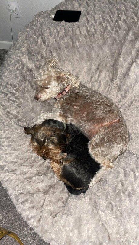 pink hair onlyfans sex pics