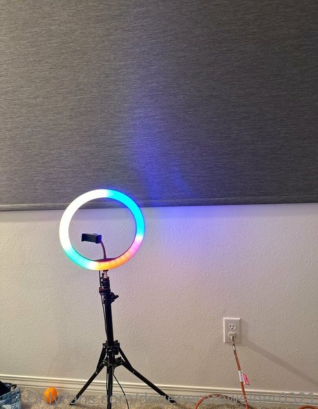 sexy bbw onlyfans art nude archive