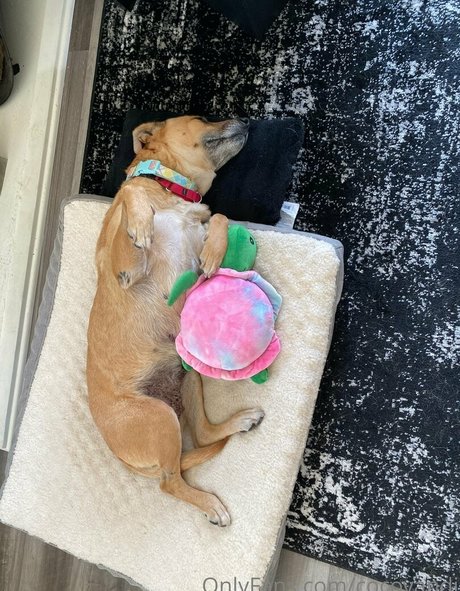 bbc orgy onlyfans art naked picture