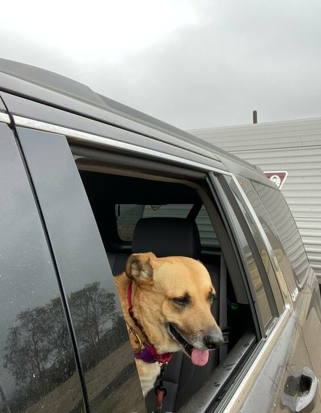 bdsm couple onlyfans sex picture