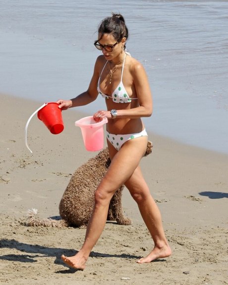 Jordana Brewster free star photos