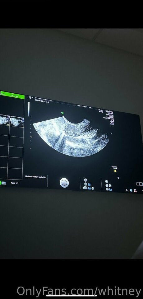 whitney model naked images