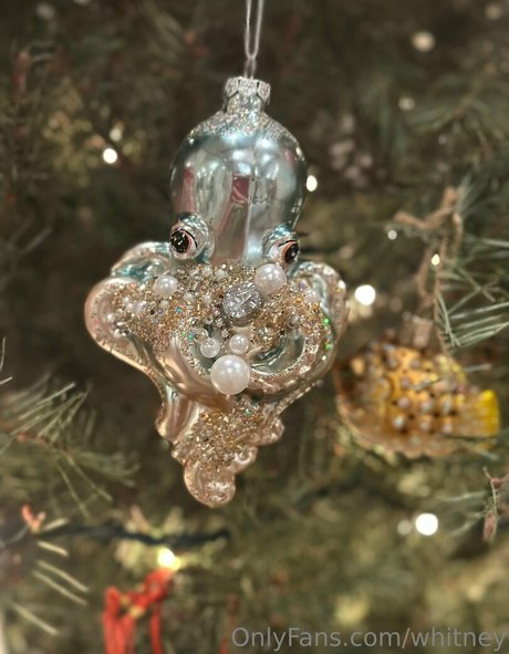 whitney model beautiful img