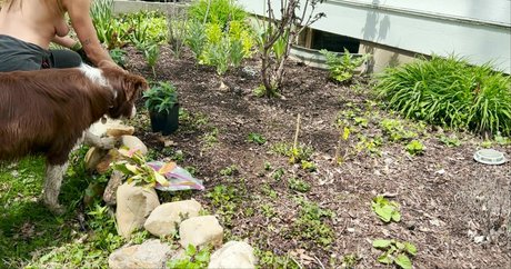 asian girlfriend onlyfans sex pic