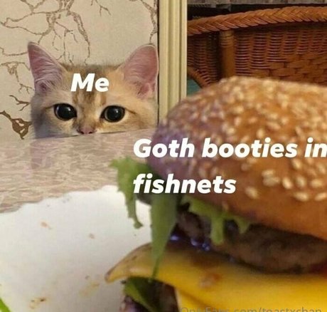 toastxchan star top image