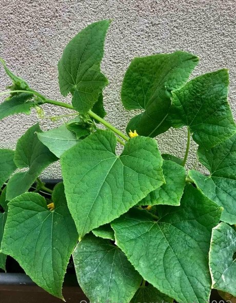 famous gay onlyfans sexy xxx photos