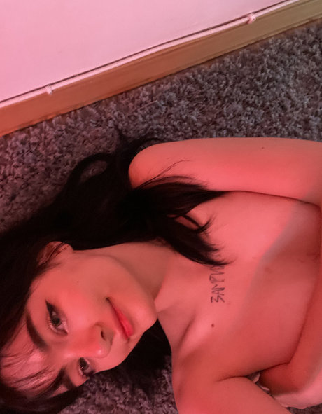 Your Waifu star hd archive