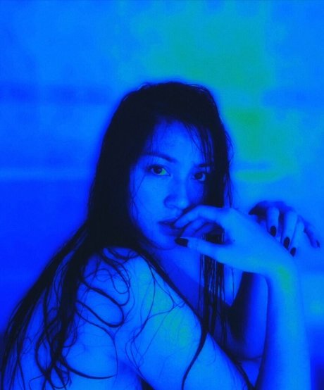 Exoticwildflower star perfect pictures