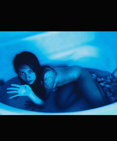 Exoticwildflower star top img